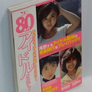 80年代アイドルカルチャーガイド☆2013年10月発行☆洋泉社の画像4