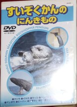 ◇☆ＤＶＤ!!!◇☆「すいぞくかんのにんきもの」!!!わくわくいきものランド!!!◇☆音声映像確認未確認◇☆1980円→399円!!!◇☆送料無料!!!_画像1