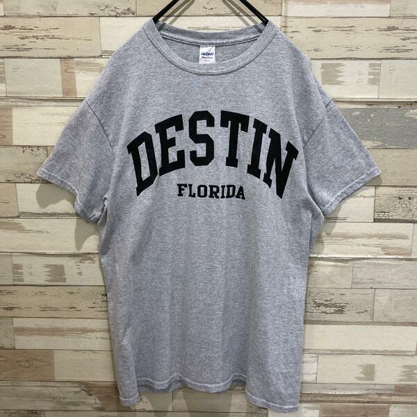 GILDAN ギルダン カレッジ Tシャツ Mサイズ フロリダ アメカジ　グレー　DESTIN FLORIDA