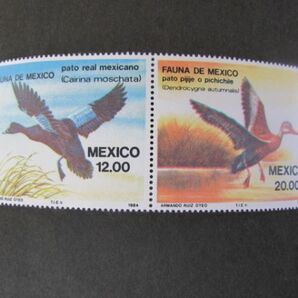 ⑫ 動物コレクション メキシコ 鳥；水鳥 2種完 1984の画像1