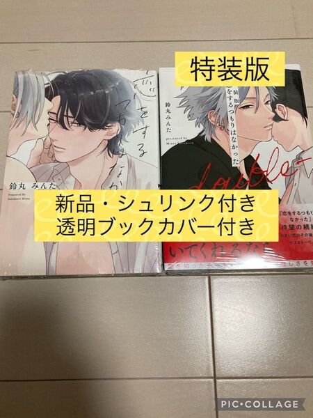 新品　恋をするつもりはなかった／double 特装版 小冊子付き