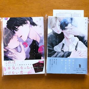 ドアの向こうにはロマンス　Hiカロリー　さよならだったらよかった　井波エン　新品未読　初版