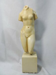 像 APHRODITE ヴィーナス 胴体 西洋彫刻 彫刻 裸婦 デッサン 美術 石膏 アート