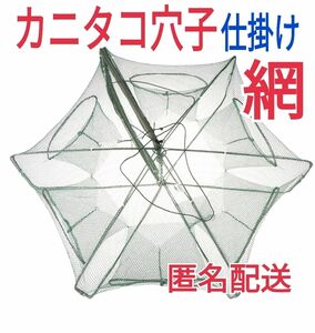 仕掛け網カニタコ穴子根魚穴子ウナギ狙い