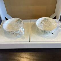 【8245】 CUP&SAUCER HOYA セット　コーヒーカップ_画像1