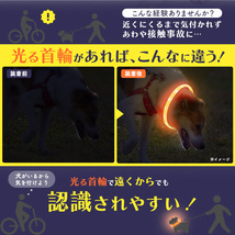 即日発送新品■夜の散歩の必需品 犬用 光る首輪（ライト） 50cm ペット用 散歩 首輪 犬 ブルー オレンジ 大型犬 中型犬 小型犬 USB充電 DUM_画像3