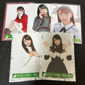 日向坂46 井口眞緒 生写真 まとめ売り