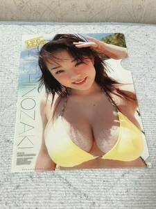 篠崎愛　クリアファイル　ヤングチャンピオン　2010年8月25日号付録　水着　ビキニ　グラビアアイドル