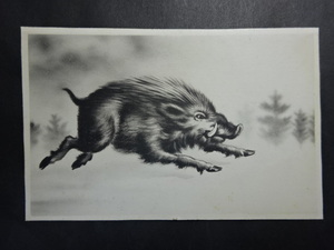 戦前 古絵葉書◆0248 年賀状 猪 画像参照。