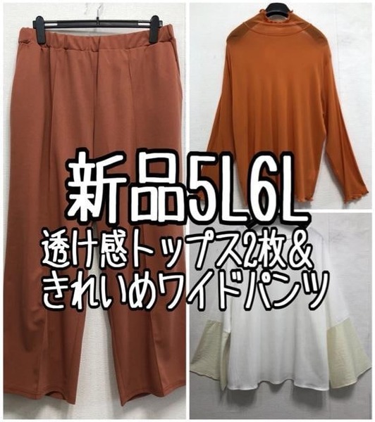 新品☆5L6L♪透け感おしゃれトップス2枚&きれいめワイドパンツ☆r861