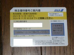 Билеты на билеты на билеты на билеты на билеты на билеты на акционеров ANA ANA с 1 до 30 ноября 2024 г.