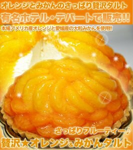 [ several buy recommendation ][.... full - tea! luxury * orange & mandarin orange tart { freezing flight D shipping commodity }