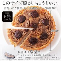 【ネコポス発送・４個まで同梱可】蜜で煮込んだ栗がたっぷり!!モンブランタルト5号≪常温便≫_画像6