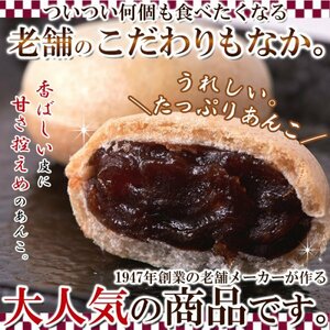 【複数購入推奨】香ばしい皮と甘さ控えめ餡子が絶妙!!【お徳用】ひとくち最中 600g(200g×3袋)≪常温便≫