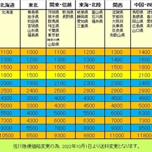 ▼【YAMAHA もっきん No.180 長期保管品 当時物 打楽器 教材】（NF240303）246-796の画像10