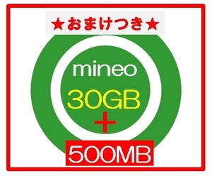 ★おまけつき★ mineoマイネオ パケットギフト 30GB