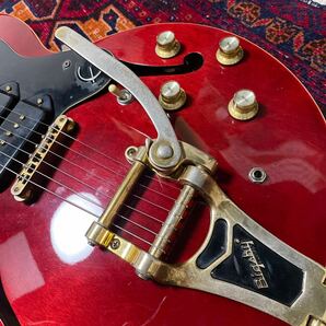 【Freeway Switch custom】Epiphone Riviera P93 エピフォン リビエラの画像4