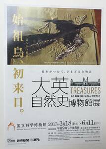 標本がつむぐ、さまざまな物語 大英自然史博物館展　チラシ TREASURES OF THE NATIONAL WORLD 国立科学博物館