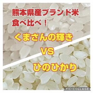 熊本県産　無農薬くまさんの輝き10キロ　特別栽培ヒノヒカリ10キロ　食べ比べセット　20キロ