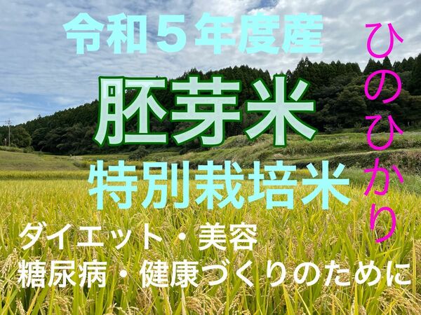 熊本県産　ひのひかり胚芽米　特別栽培米　1.8キロ(箱込み)