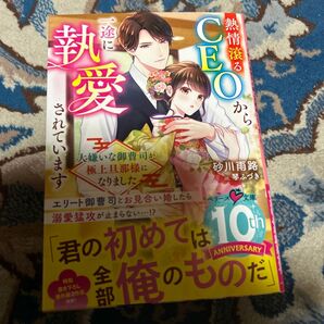 熱情滾るCEOから一途に執愛されています 大嫌いな御曹司が極上旦那様になりました (ベリーズ文庫 す2-21) 砂川雨路/著