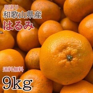 はるみ訳あり 9kg 和歌山県産 送料無料(北海道、沖縄県除く) はるみ高級みかん ご自宅用