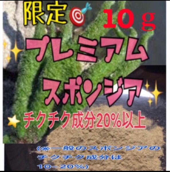 ★剥離あり◎大人気◎ロングセラー★プレミアムスポンジア★10g 大特価★説明書付き