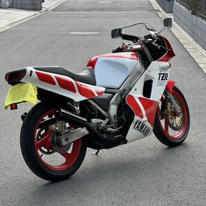 TZR250 1KT 20,819km レストア済み 自賠責R7年2月迄 始動動画 下取り現車確認可 希少2stレプリカスポーツ NSR250R RGV250 2XT 3MA 3XVの画像5