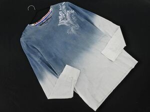 ネコポスOK DIESEL ディーゼル プリント 長袖 カットソー sizeM/水色 ■◇ ☆ eca1 メンズ