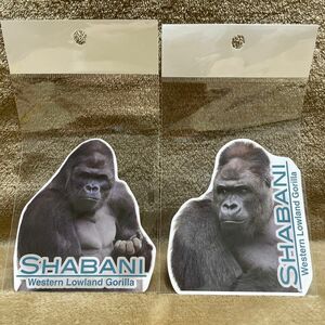 イケメンゴリラ シャバーニ ダイカットシール 東山動植物園