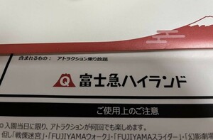 【2024/4/30まで】即決★即発送 富士急ハイランド フリーパス ペア 大人2名分 入場券 チケット