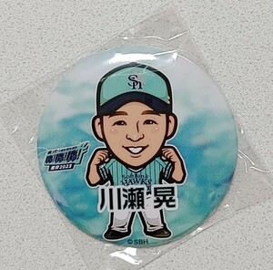 ソフトバンクホークス　川瀬晃　鷹の祭典2023　缶バッジ◆勝つぞ！鷹！鷹！鷹！　若鷹ガチャ　缶バッチ