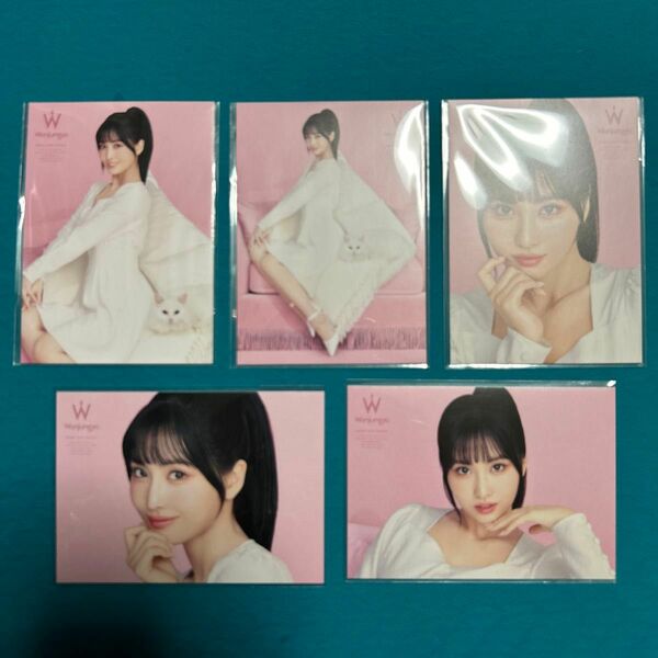 TWICE MOMO フォトカード　５種類 全種