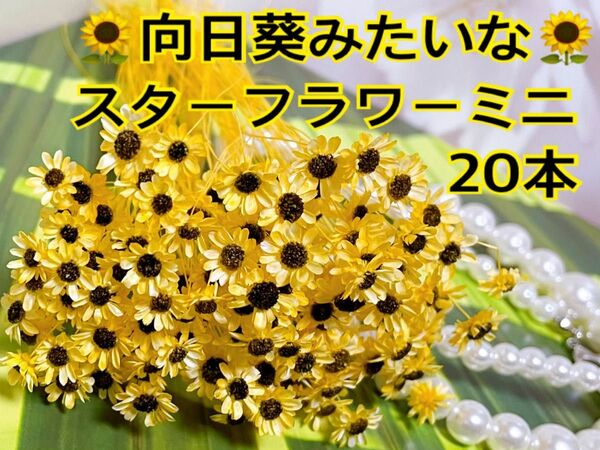 向日葵みたいなスターフラワーミニ20本