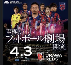 4/3 FC東京vs浦和レッズ 南サイド 指定席 通路側 ペア　2枚の値段です。