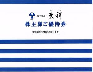 東祥 ホリデイスポーツクラブ 株主優待券 4枚 2024年6月30日迄