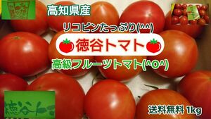 高知県産 徳谷トマト フルーツトマト 送料無料 約1kg