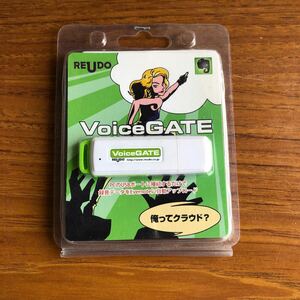 REUDO VOICE GATE Evernote USB ボイスレコーダー　