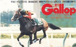 ■G24 Gallop アイリッシュダンス 新潟記念 テレカ