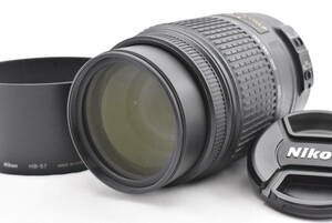 Nikon ニコン AF-S DX NIKKOR 55-300mm F4.5-5.6 G ED VR ズームレンズ (t6716)