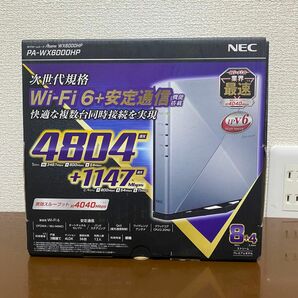 NEC Aterm PA-WX6000HP