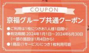 越前松島水族館 入館料500円割引x4名まで 24.1.1-24.6.30