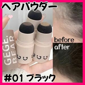 【新品&再入荷！！】ヘアシャドウ ヘアパウダー 生え際 つむじ ブラック 白髪 薄毛 シェーディング