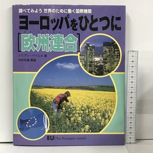 調べてみよう世界のために働く国際機関 ヨーロッパをひとつに欧州連合 ほるぷ出版 ジリアン パウエル