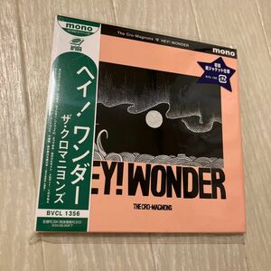 初回仕様限定盤 紙ジャケット ザクロマニヨンズ CD/HEY! WONDER 24/2/7発売 【オリコン加盟店】