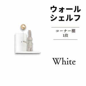 ウォールラック 飾り棚 ウォールシェルフ 1x1 ホワイト