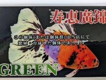 Lー59．●●寿恵廣錦●●．令5．11月３日孵化、約10cm．孔雀扇．ＳＳ．_画像10