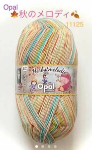 Opal オパール毛糸　秋のメロディ（11125）１個