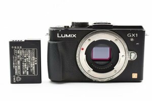 ADS3298★ 実用品 ★ パナソニック Panasonic Lumix DMC_GX1