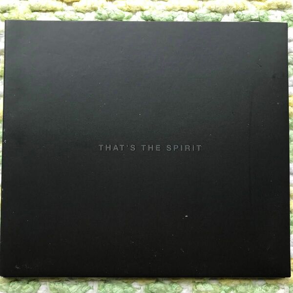 Bring me the horizon - Thats The Spirit